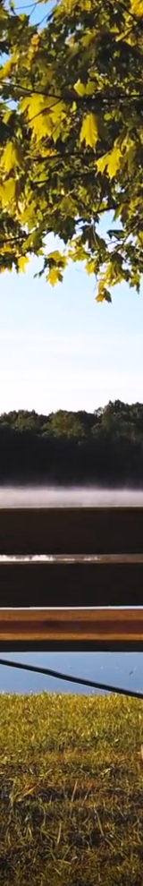 An empty bench next to a lake and tree